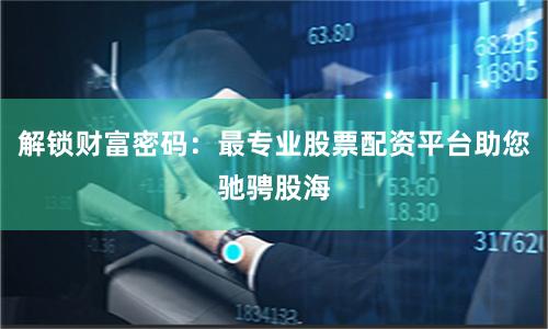 解锁财富密码：最专业股票配资平台助您驰骋股海