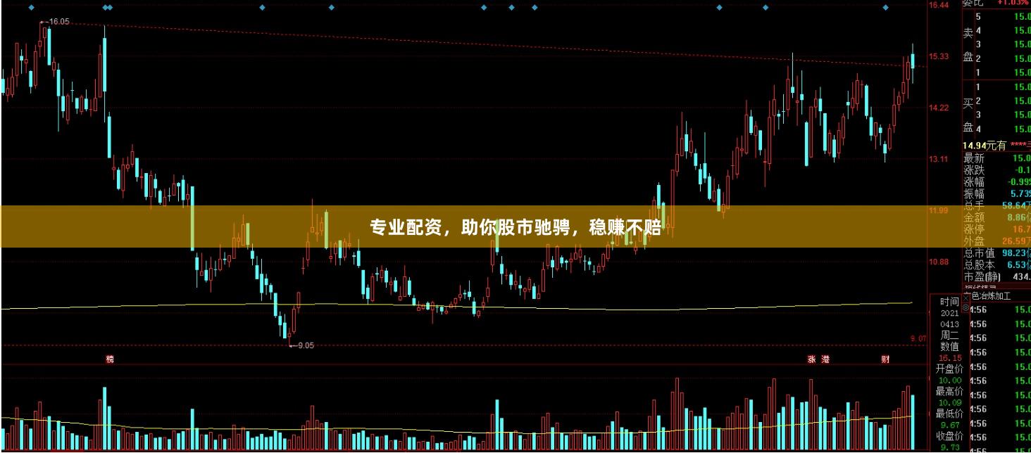 专业配资，助你股市驰骋，稳赚不赔