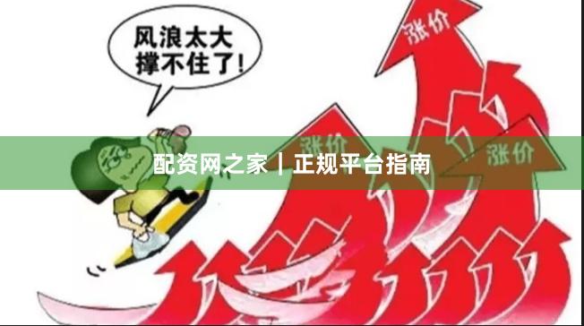 配资网之家｜正规平台指南
